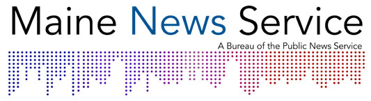 https://pns-media.s3.amazonaws.com/Production/uploads/regions/2025/01/07/fa71e7e7/mns_logo.jpg