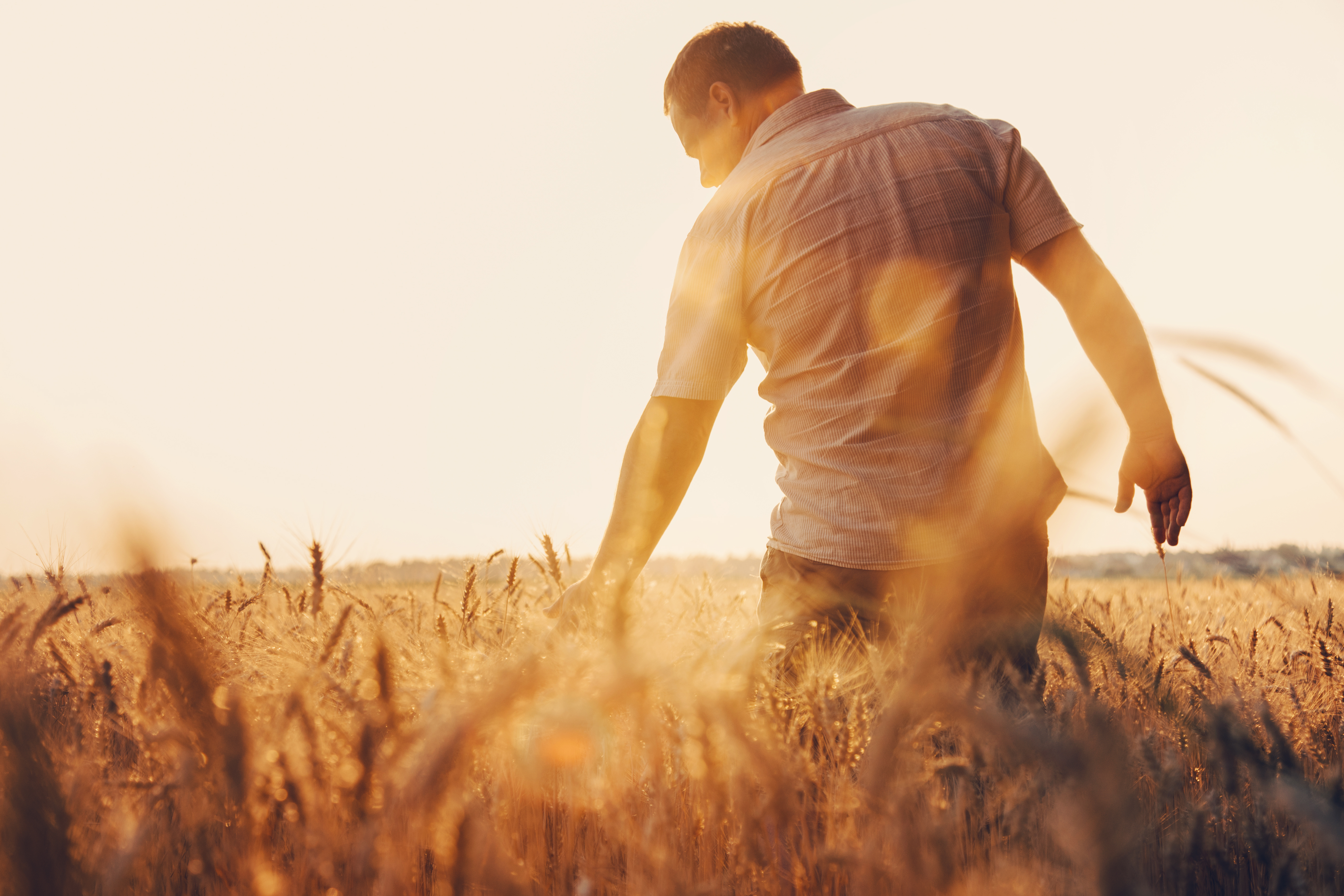 After two extensions, the 2018 Farm Bill is due to expire September 30, 2025. (Anton/Adobe Stock)